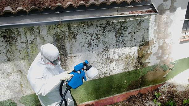 Trusted Commercial Mold Remediation service in Clarksboro, NJ - Cheap Mold Removal